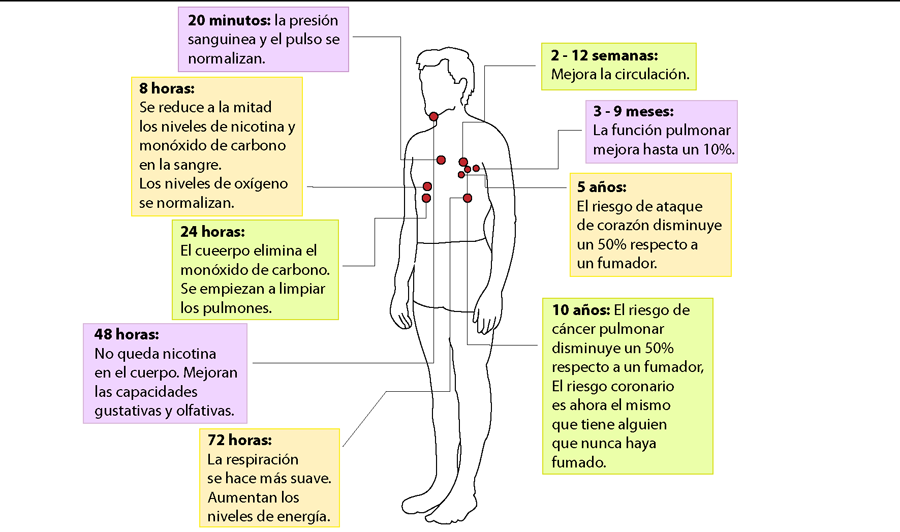 Como dejar fumar a las carnestolendas 2015