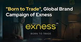 Exness Trading System Exness Trading System
