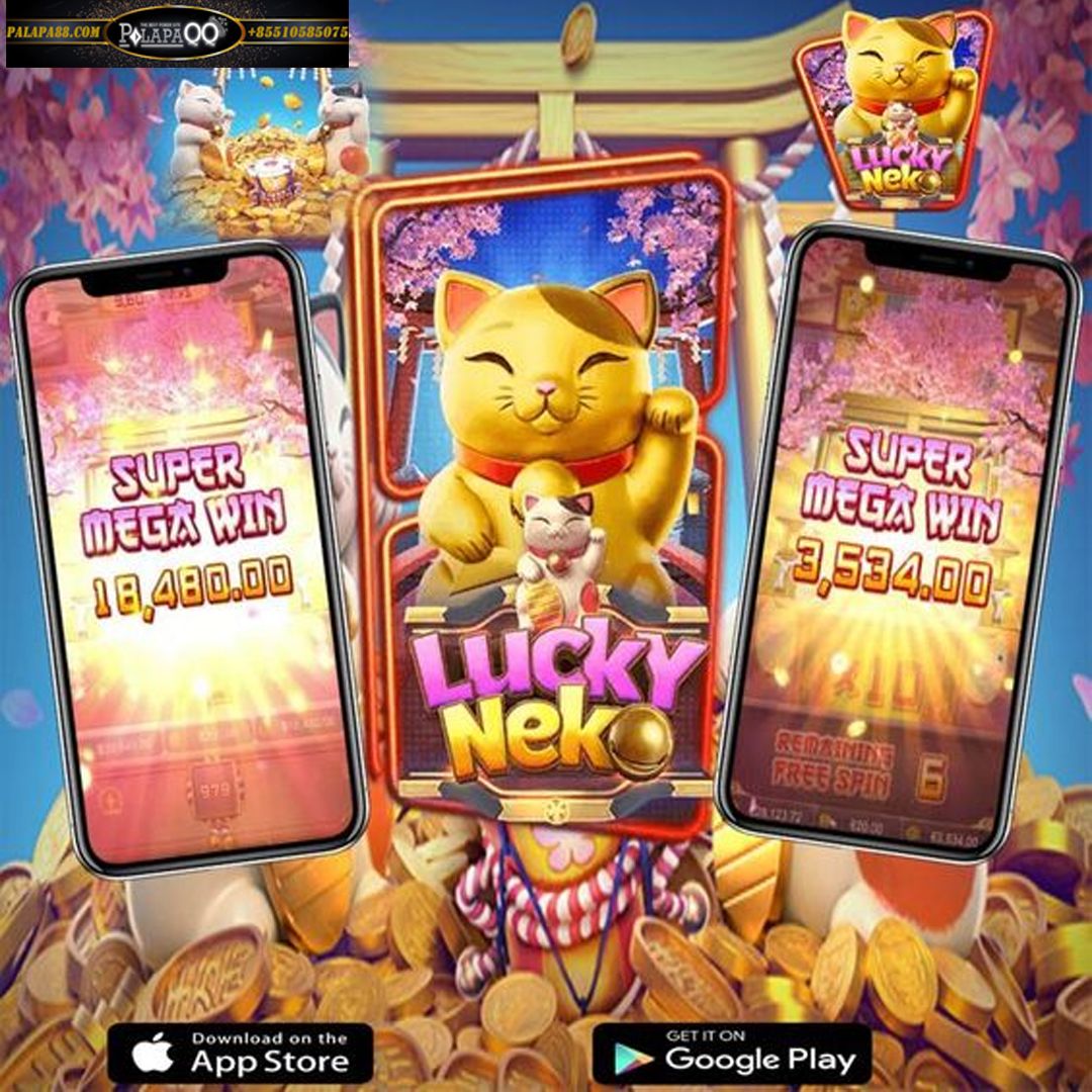 Porte-machine Lucky Neko